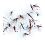 Ahogada Sarnosa degenerada
