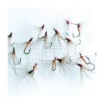 Ahogada Salmonin brinca burdeos