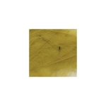 CDC Marc Petitjean 1 gr