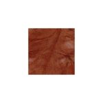 CDC Marc Petitjean 1 gr