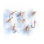 Saltona Salmon