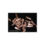 Cuerpos tungsteno plus Cobre
