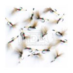 Royal coachman cdc
