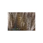 Pardo Corzuno oscuro penca fina. Colgadera extra