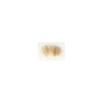 CDC Baetis natural