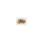CDC Baetis natural