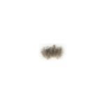 CDC Baetis natural