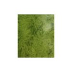 Sheep wool