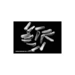 Cuerpos tungsteno plus Nickel
