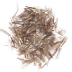 CDC pato salvaje gris claro