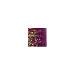 Body Fly UV