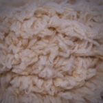 Chenille ovejitas 15 mm