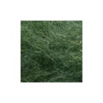 Fasna pure Squirrel (ardilla 100%)