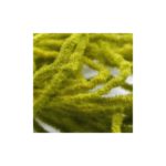 Worm chenille Fasna