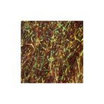 Dubbing Spectra by FASNA