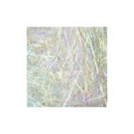 Dubbing Spectra by FASNA
