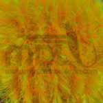 Gel core 2 tone by FASNA