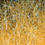 02 Light fluo orange