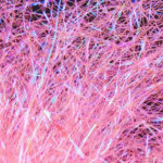 41 Fluo Pink