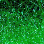 96 Fluo Green